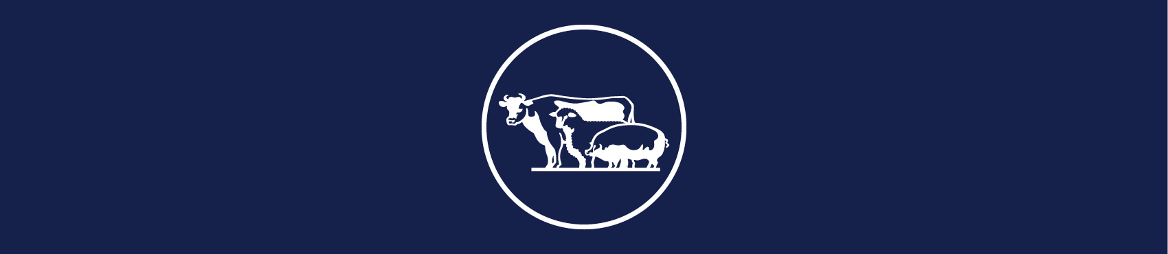 Farm Ranch Insurance Austin Texas Continental General Agency